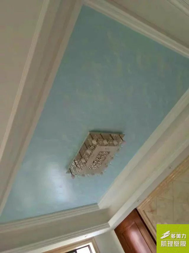 ������Ĥʩ������