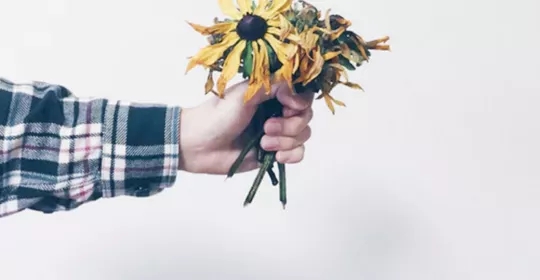 �ְ��ֽ������x������Ĥ